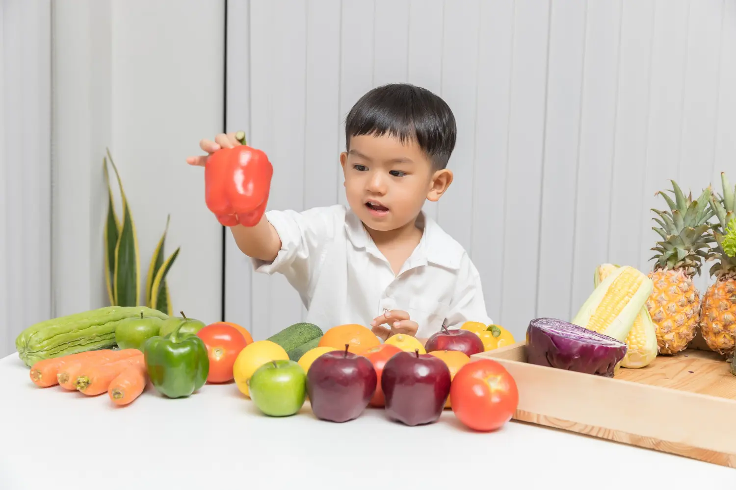 Peran Warna Alami dalam Membentuk Selera Makan Anak
