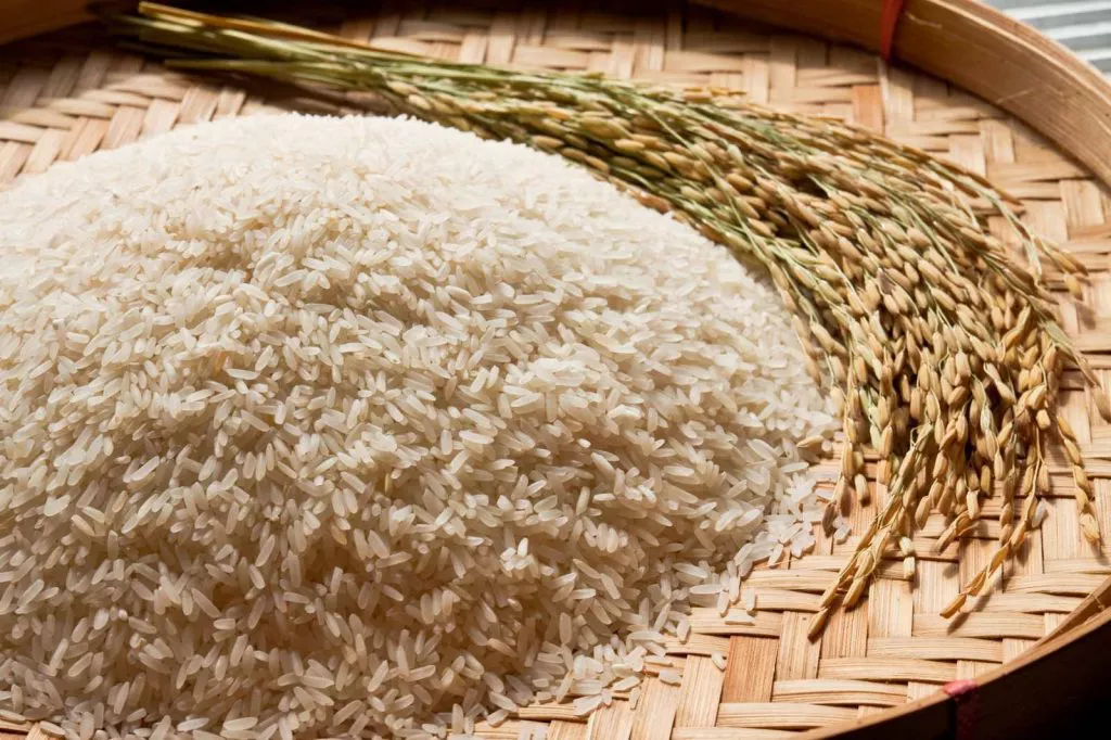 Beras Premium Terbaik: Mengapa Beras Premium Adalah Pilihan Terbaik untuk Hidangan Spesial