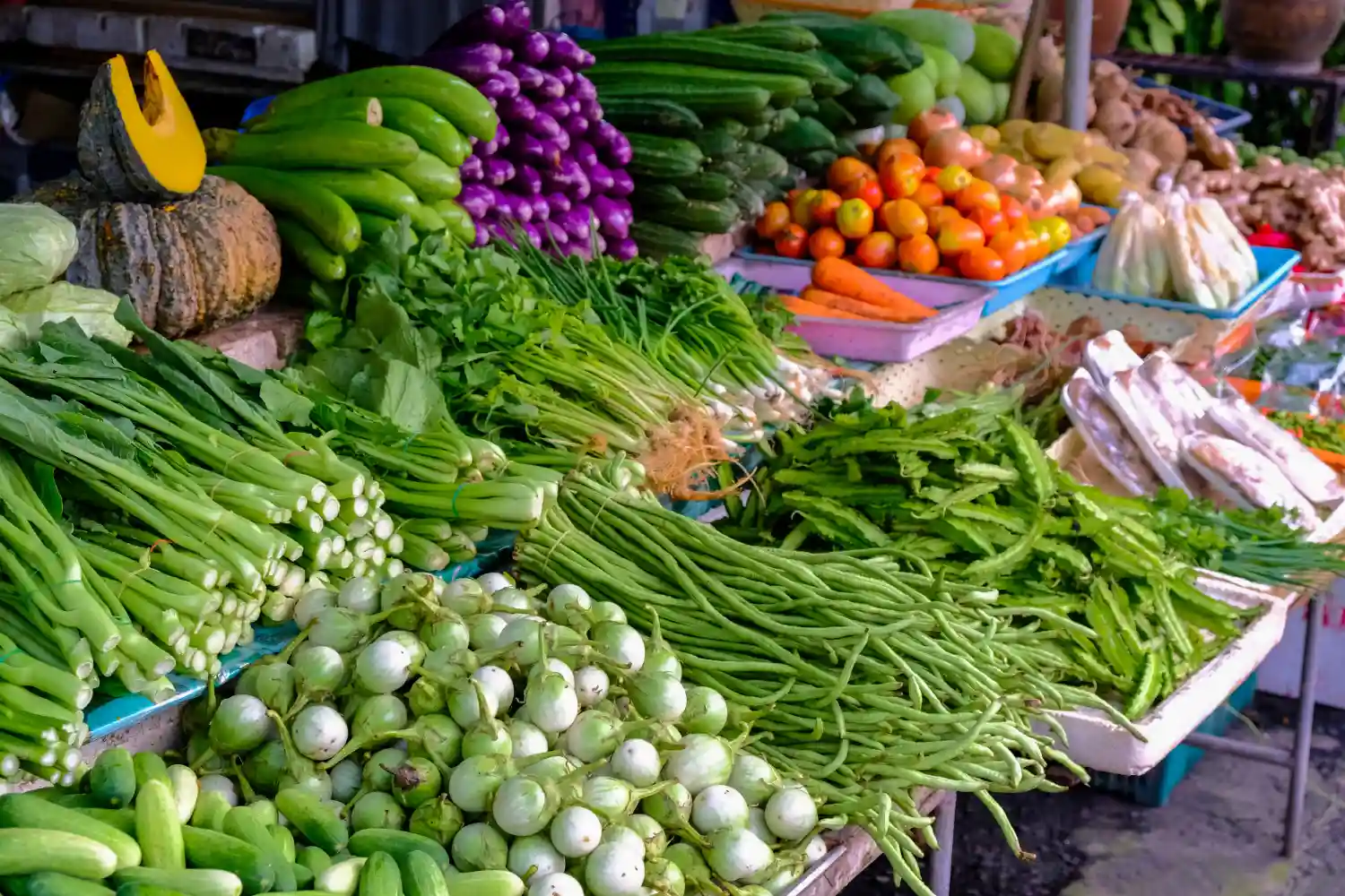 Cara Cerdas Mengatur Pola Belanja Dapur untuk Gaya Hidup Lebih Sustain