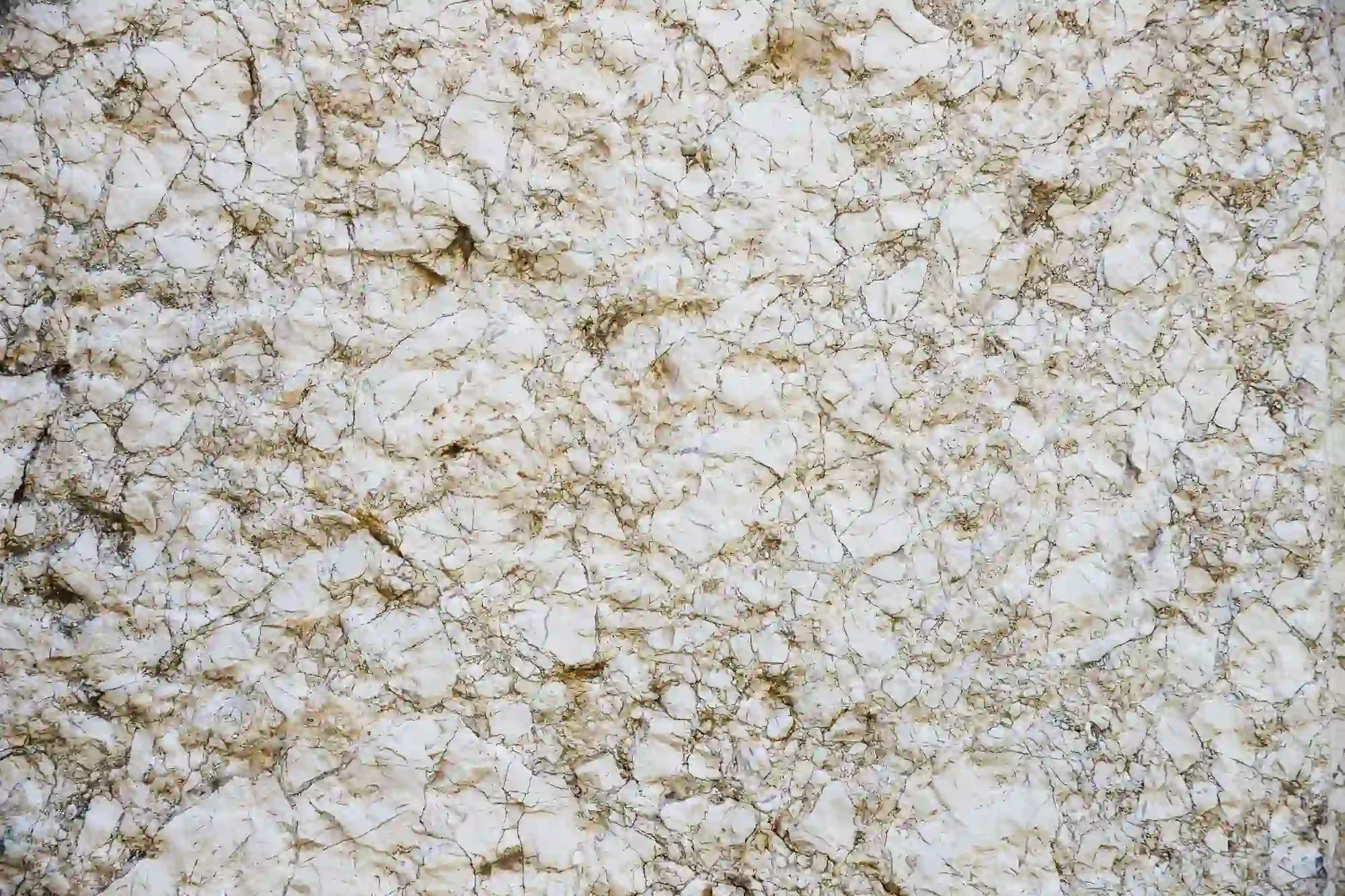 Tepung Berjamur? Kenali Cirinya Sebelum Dipakai