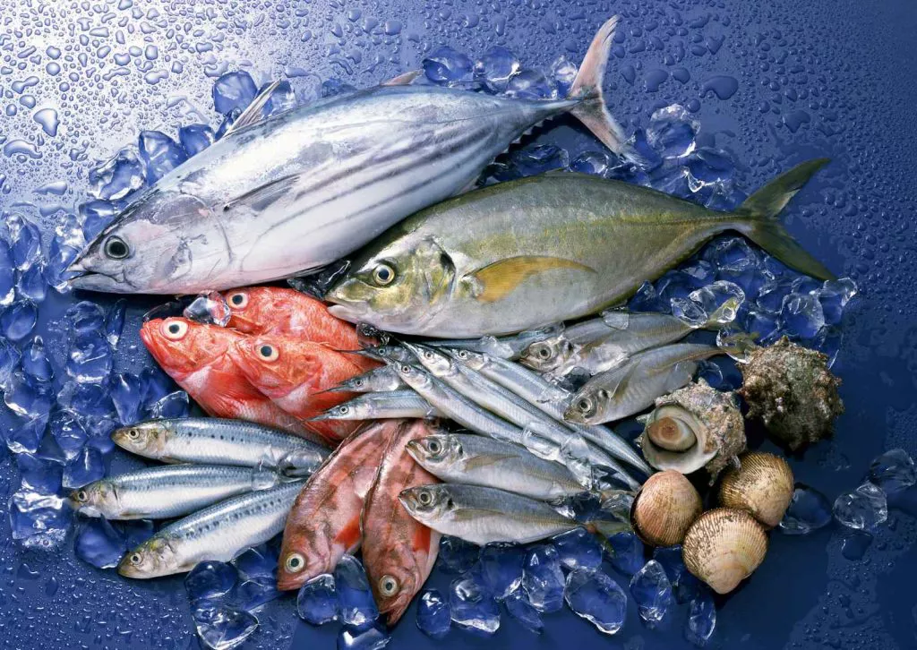 Tips Menyimpan Ikan agar Tetap Segar dan Tahan Lama
