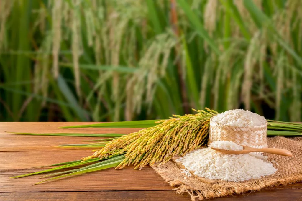 Tips Menjaga Kualitas Beras Premium: Solusi Nutrisi untuk Keluarga
