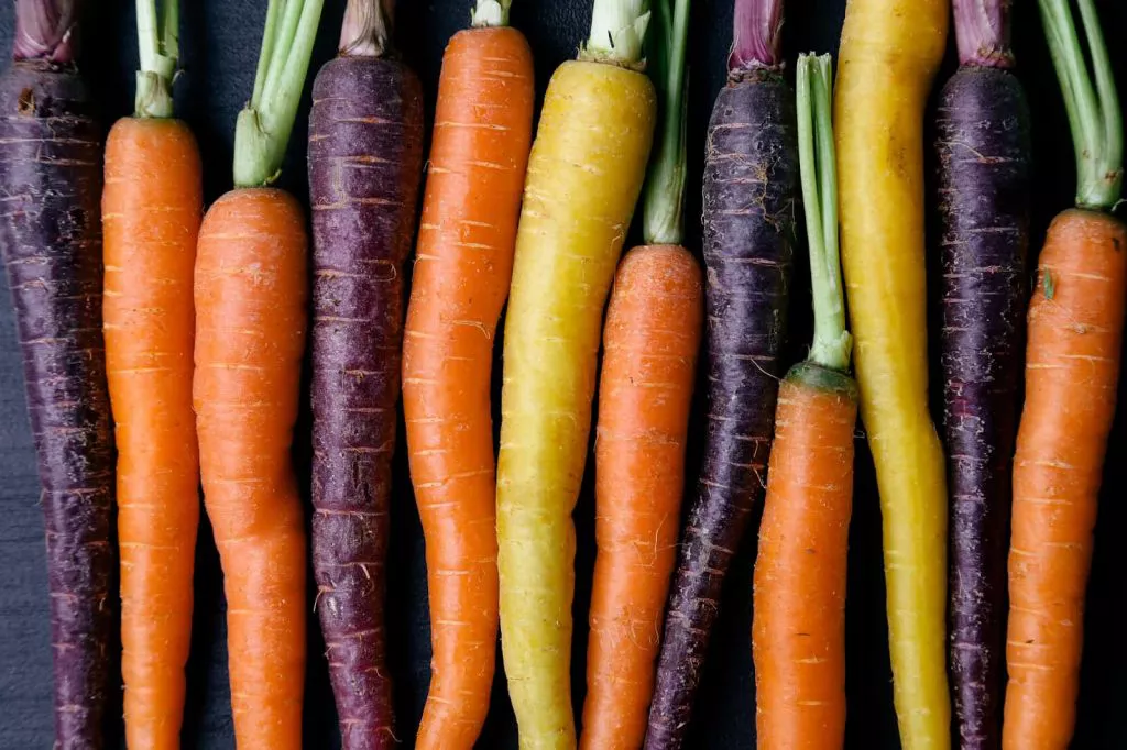 Wortel Ungu dalam Masakan: Warna yang Indah, Nutrisi yang Tinggi