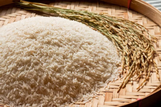Beras Premium Terbaik: Mengapa Beras Premium Adalah Pilihan Terbaik untuk Hidangan Spesial