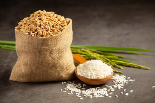 Beras Premium: Menuju Hidangan Lezat dan Bergizi dengan Kualitas Tinggi