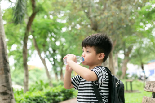 Pentingnya Konsumsi Air pada Anak yang Aktif cover